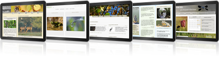site internet creatif unique