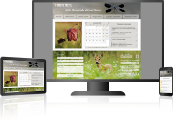 site internet tablette mobile